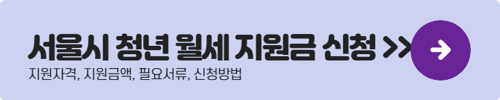 서울시 청년 월세 지원금 신청하기
신청대상 지원금액 필요서류 신청방법